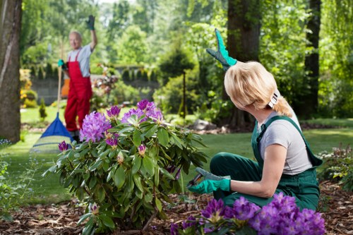Eco-friendly lawn maintenance practices