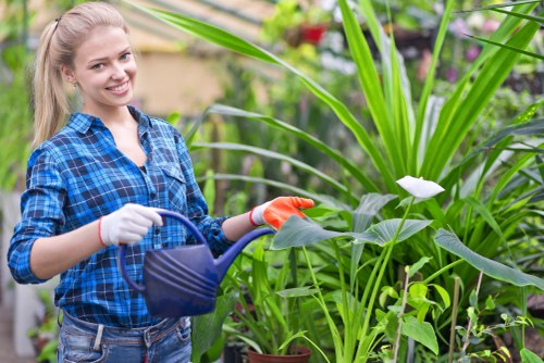 Secure payment interface for garden maintenance in Colindale