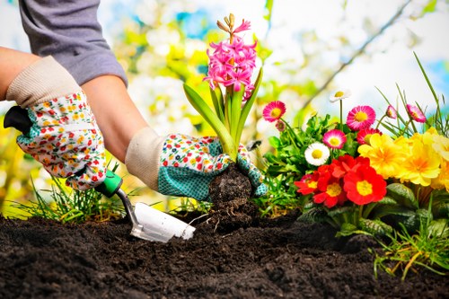 Two gardeners performing maintenance in a residential lawn