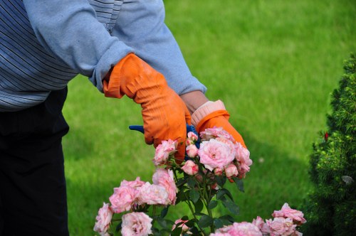 Seasonal lawn care in Colindale