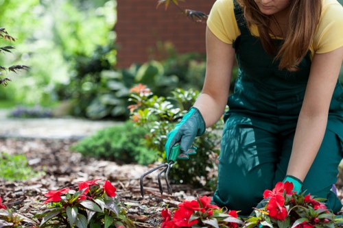 Beautiful garden in Colindale showcasing well-maintained plants